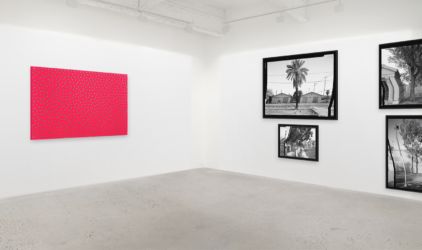 Installation view of Daniel Temkin dithers and photographs hanging in gallery