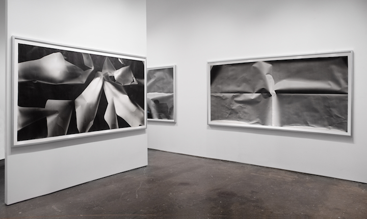 Sheila Pinkel, Pinkelgraphs: The Murals and Cyanotypes, 1974–1982