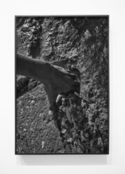 Keisha Scarville, Hand/Wall, 2020, pigment print, 18 x 12 inches, edition of 5