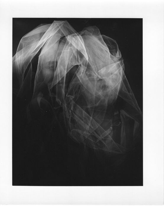 Carla Williams. Untitled (tulle), 1984-1985, printed 1984-1985, gelatin silver print, image dimensions: 8 x 6 1/4 inches, paper dimensions: 10 x 8 inches 