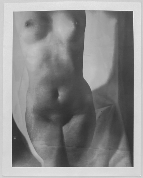 Carla Williams. Untitled (torso) #1a, 1984-1985, printed 1985, gelatin silver print, bleached, image dimensions: 12 1/2 x 9 1/2 inches, paper dimensions: 14 x 11 inches 
